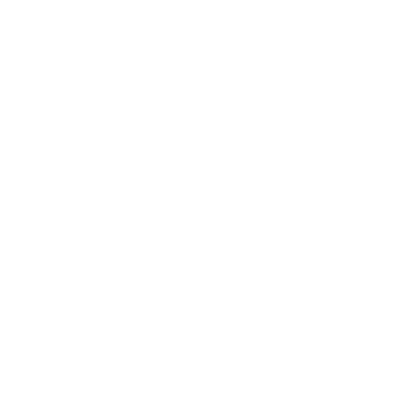 Petto Studio